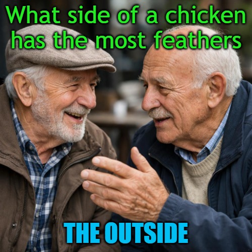 What side of a chicken has the most feathers; The outside | made w/ Imgflip meme maker