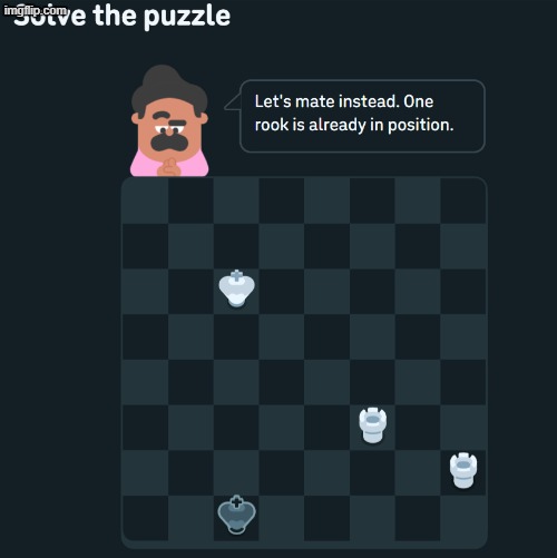 uhh NO i dont think i want to | image tagged in funny,memes,msmg,duolingo 10 in a row | made w/ Imgflip meme maker