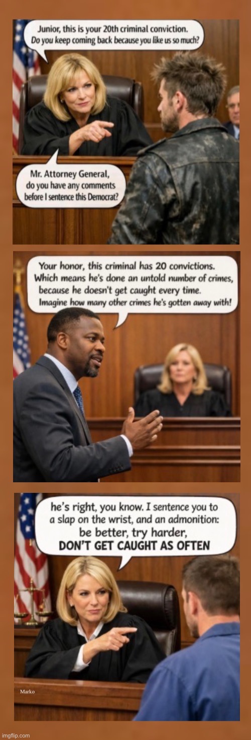They Keep Each Other In Business | image tagged in memes,lefty judges are as criminal as the thugs,especially white female dems,progressives leftists fjb voters kissmyass | made w/ Imgflip meme maker