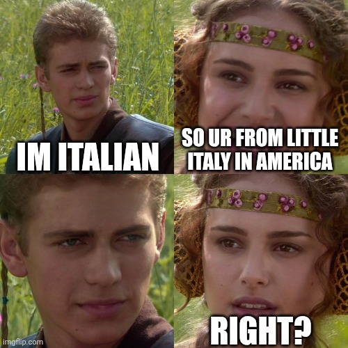Italy | Im italian; So ur from little italy in america; Right? | image tagged in anakin padme 4 panel | made w/ Imgflip meme maker