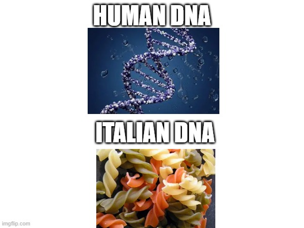 mama mia | human dna; italian dna | image tagged in pasta,italy,spaghetti | made w/ Imgflip meme maker