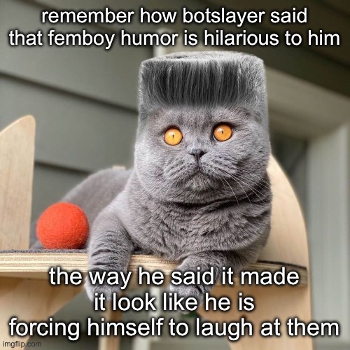 Folk | remember how botslayer said that femboy humor is hilarious to him; the way he said it made it look like he is forcing himself to laugh at them | image tagged in folk | made w/ Imgflip meme maker