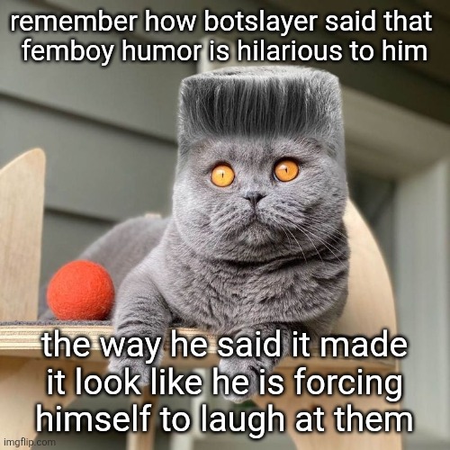 Folk | remember how botslayer said that 
femboy humor is hilarious to him; the way he said it made it look like he is forcing
himself to laugh at them | image tagged in folk,remix | made w/ Imgflip meme maker