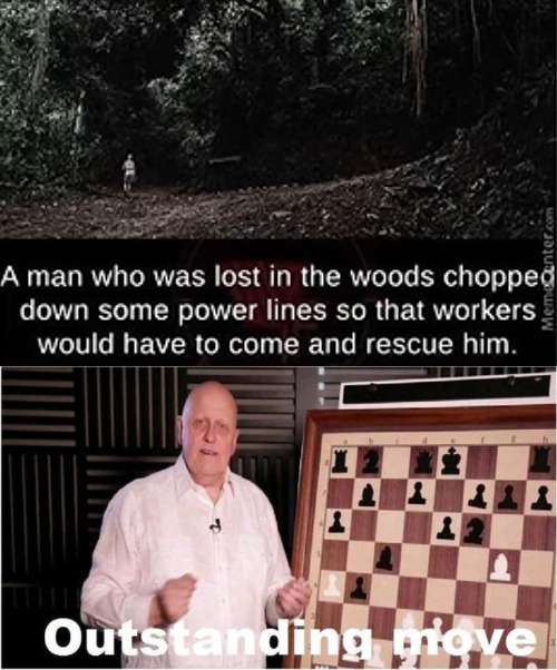 image tagged in outstanding move,lost,woods,high iq,intelligence,power | made w/ Imgflip meme maker