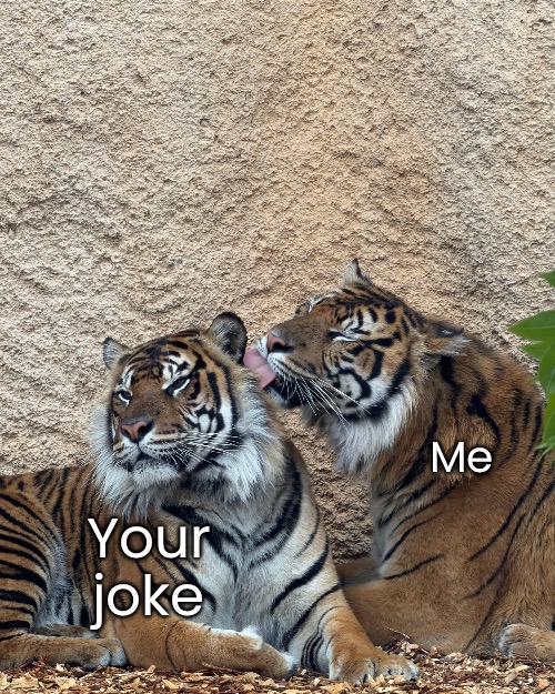 Me Your joke | made w/ Imgflip meme maker