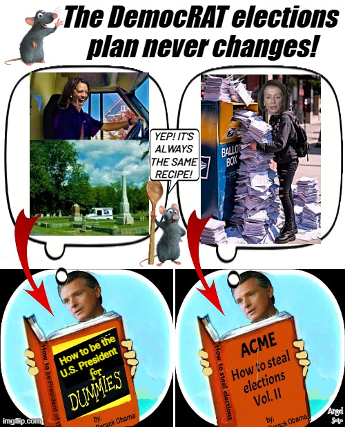 The Democrat elections plan never changes | The DemocRAT elections
 plan never changes! YEP! it's
always
the same
recipe! Angel
Soto | image tagged in gavin newsom studies democrat elections plan,gavin newsom,kamala harris,hillary clinton,rigged elections,for dummies book | made w/ Imgflip meme maker