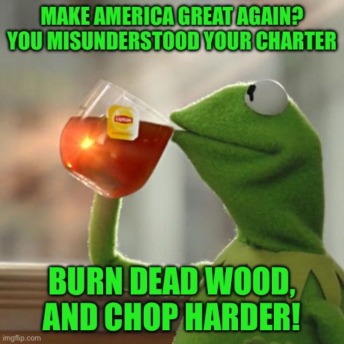 But That's None Of My Business Meme | Make America great again? You misunderstood your charter; BURN dead wood, and chop harder! | image tagged in memes,but that's none of my business,kermit the frog | made w/ Imgflip meme maker