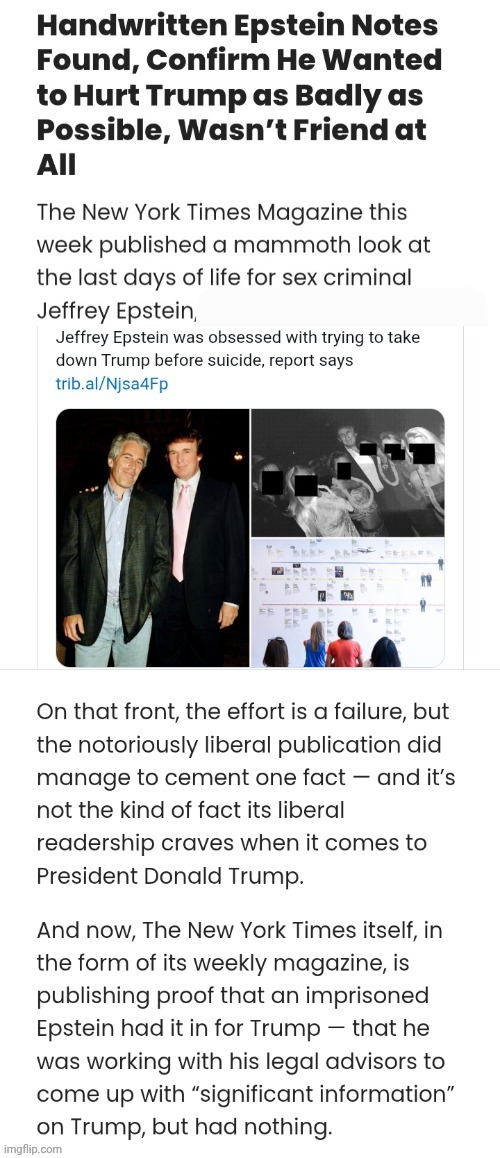 Epstein hated Trump | image tagged in new york times confirmed epstein hated trump,epstein,i hate you,donald j trump | made w/ Imgflip meme maker