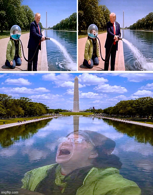 Trump fills the Reflecting pool with libtard tears Blank Meme Template