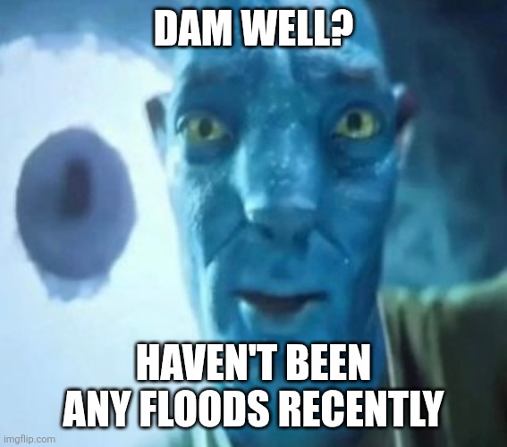 Avatar guy | Dam well? Haven't been any floods recently | image tagged in avatar guy | made w/ Imgflip meme maker