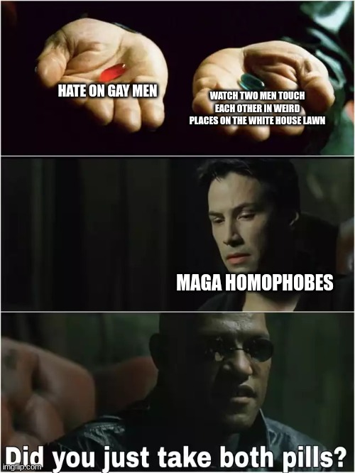 its stupid | Hate on gay men; Watch two men touch each other in weird places on the white house lawn; MAGA homophobes | image tagged in did you just take both pills | made w/ Imgflip meme maker