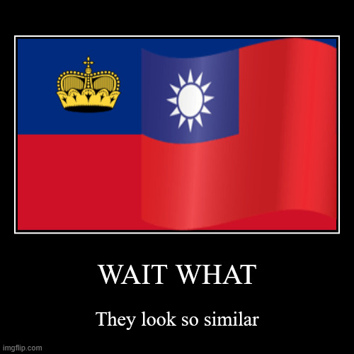they look so similar | WAIT WHAT | They look so similar | image tagged in demotivationals | made w/ Imgflip demotivational maker