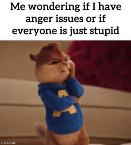 Anger issues | image tagged in img_2791 jpeg | made w/ Imgflip meme maker
