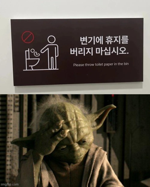 Looks like somebody throwing a baby, smh | image tagged in yoda facepalm,toilet paper,memes,you had one job,bin,signs | made w/ Imgflip meme maker