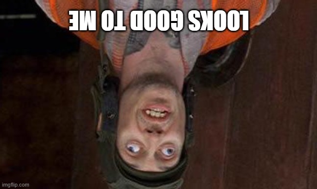 Looks Good To Me | looks good to me | image tagged in looks good to me | made w/ Imgflip meme maker