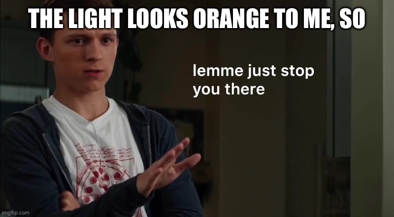 Lemme just stop you there | The light looks orange to me, so | image tagged in lemme just stop you there | made w/ Imgflip meme maker