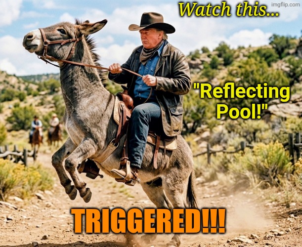 Trollin', Trollin', Trollin'... | Watch this... "Reflecting Pool!"; TRIGGERED!!! | made w/ Imgflip meme maker