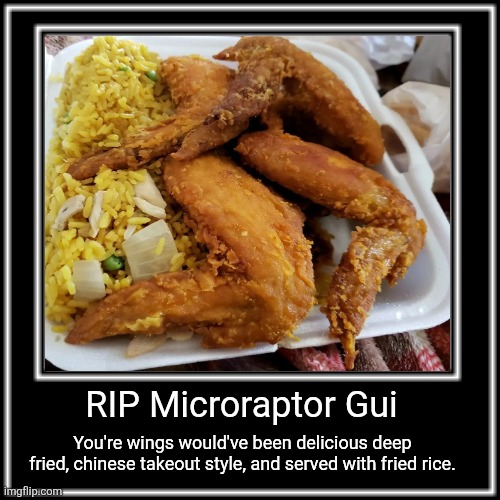 4 Wing. Just think about that | RIP Microraptor Gui; You're wings would've been delicious deep fried, chinese takeout style, and served with fried rice. | image tagged in what how,memes,dinosaur,food memes,history memes,humor | made w/ Imgflip meme maker