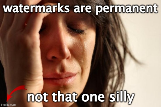First World Problems Meme | watermarks are permanent; not that one silly | image tagged in memes,first world problems | made w/ Imgflip meme maker