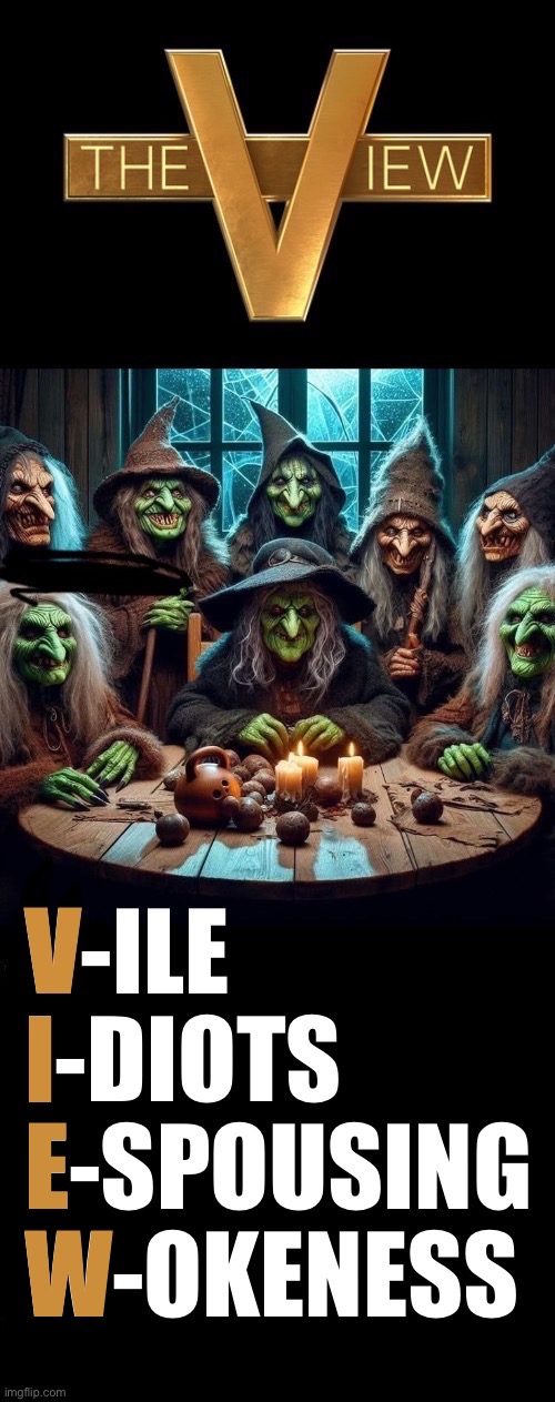 The main cast hags and assorted ‘associates’ | E; W | image tagged in political meme,the view,acronym,witches,leftists,hags | made w/ Imgflip meme maker