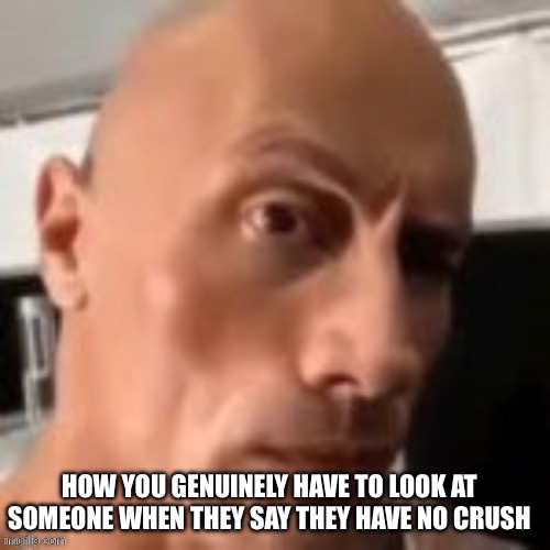 I doubt it | How you genuinely have to look at someone when they say they have no crush | image tagged in rock raising eyebrow | made w/ Imgflip meme maker