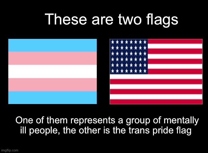 Flags | These are two flags; One of them represents a group of mentally ill people, the other is the trans pride flag | made w/ Imgflip meme maker