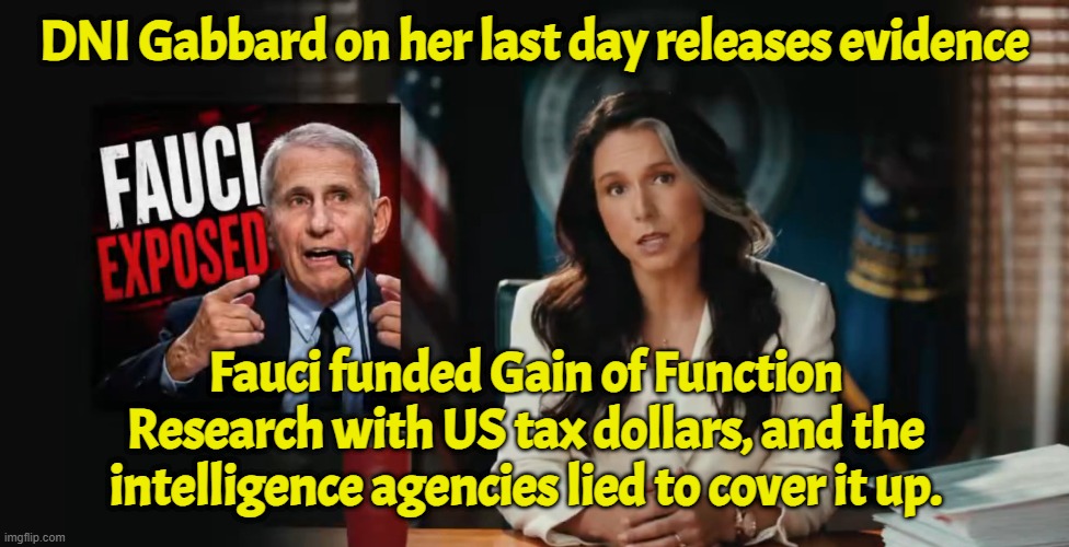 DNI Tulsi for the Win | DNI Gabbard on her last day releases evidence; Fauci funded Gain of Function Research with US tax dollars, and the intelligence agencies lied to cover it up. | image tagged in intelligence,dr fauci,fauci,cia,fbi,covid | made w/ Imgflip meme maker