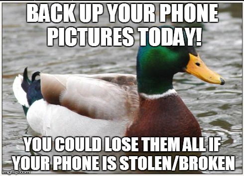 Actual Advice Mallard | BACK UP YOUR PHONE PICTURES TODAY! YOU COULD LOSE THEM ALL IF YOUR PHONE IS STOLEN/BROKEN | image tagged in memes,actual advice mallard,AdviceAnimals | made w/ Imgflip meme maker