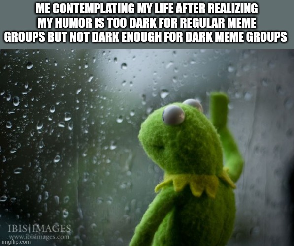 kermit window | Me contemplating my life after realizing my humor is too dark for regular meme groups but not dark enough for dark meme groups | image tagged in kermit window | made w/ Imgflip meme maker