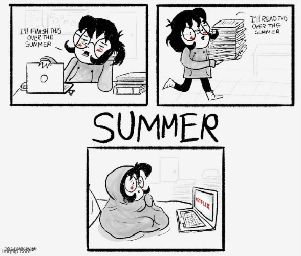 image tagged in summer,work,procrastination,blanket,netflix,real | made w/ Imgflip meme maker