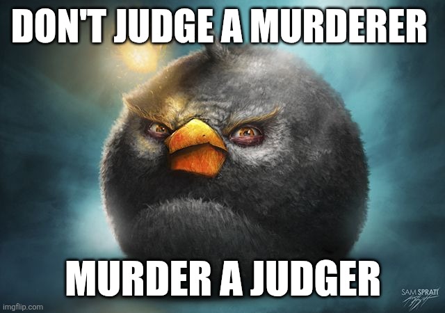 Sam Spratt is peak part 2 | Don't judge a murderer; Murder a judger | image tagged in angry birds bomb,meme | made w/ Imgflip meme maker