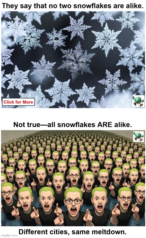 Why do people who value individuality often end up thinking alike politically? | image tagged in maga,conservative,snowflakes | made w/ Imgflip meme maker