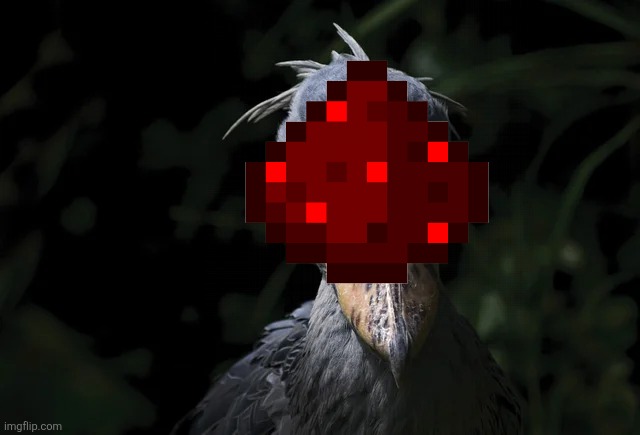shoebill | image tagged in shoebill | made w/ Imgflip meme maker