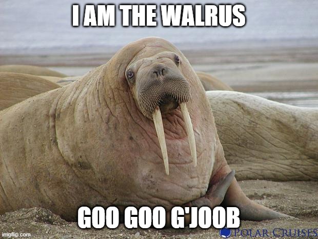 I am the eggman | i am the walrus; goo goo g'joob | image tagged in walrus,the beatles,you wouldn't get it | made w/ Imgflip meme maker