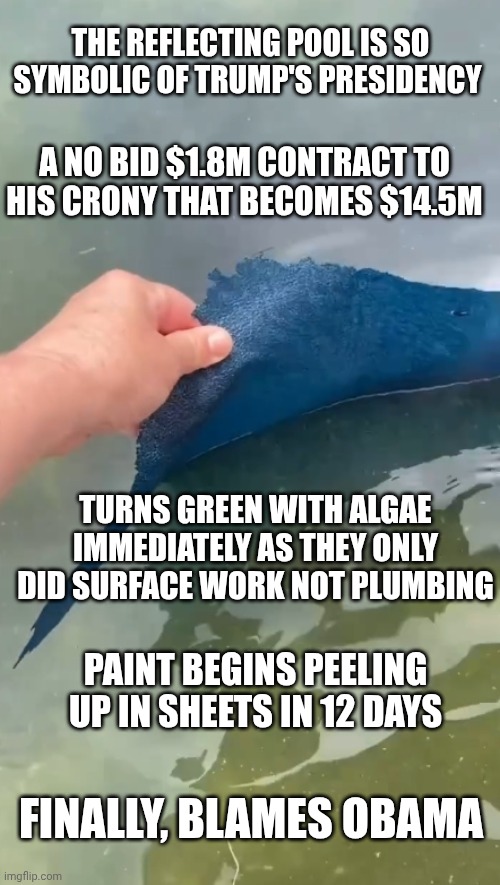 The perfect Trump presidency synbol | The reflecting pool is so symbolic of trump's presidency; A no bid $1.8M contract to his crony that becomes $14.5M; Turns green with algae immediately as they only did surface work not plumbing; Paint begins peeling up in sheets in 12 days; Finally, Blames Obama | image tagged in donald trump reflecting pool con job,trump unfit unqualified dangerous,donald trump,impeach trump,scammer | made w/ Imgflip meme maker