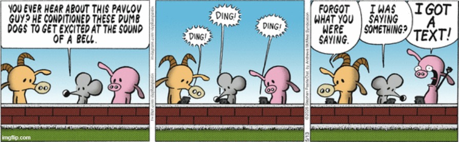 Pearls Before Swine | image tagged in comics | made w/ Imgflip meme maker