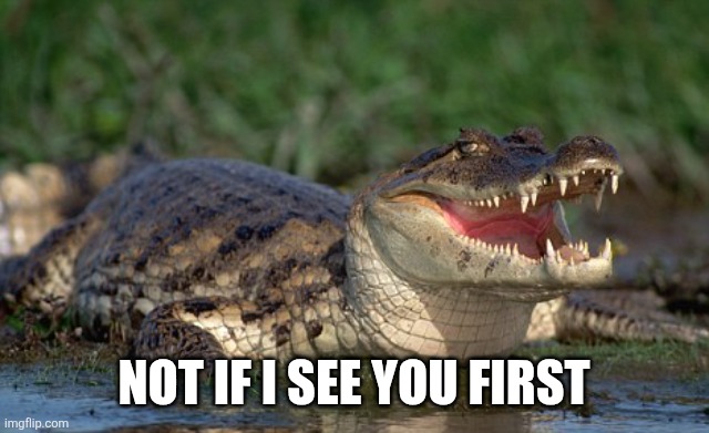 Alligator | Not if I see you first | image tagged in alligator | made w/ Imgflip meme maker