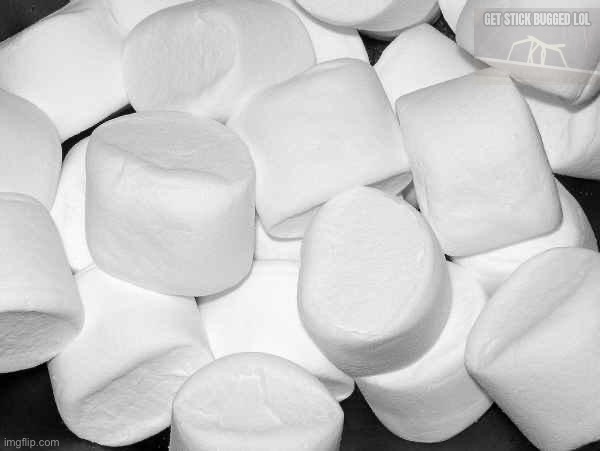 Marshmallow | image tagged in marshmallow | made w/ Imgflip meme maker