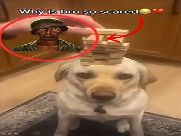 image tagged in memes,msmg | made w/ Imgflip meme maker