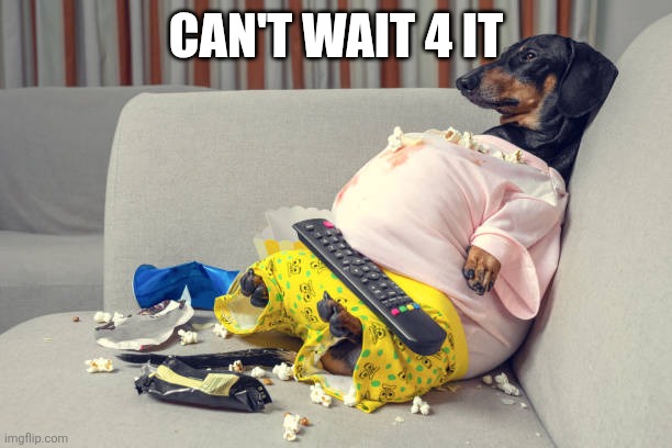 Can't wait 4 it | image tagged in fat dog | made w/ Imgflip meme maker