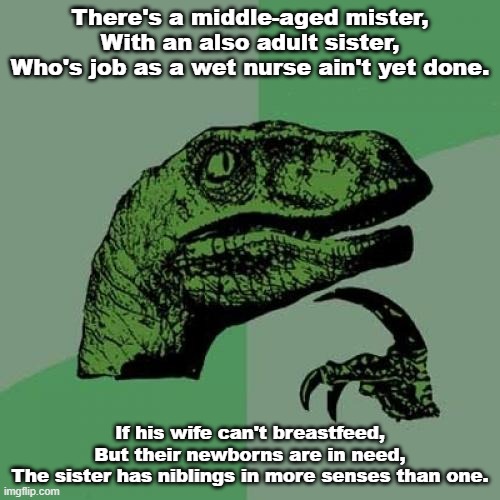 A word play based on the incorrect association of the word 'niblings' with 'nibbling'. | There's a middle-aged mister,
With an also adult sister,
Who's job as a wet nurse ain't yet done. If his wife can't breastfeed,
But their newborns are in need,
The sister has niblings in more senses than one. | image tagged in genius,memes,philosoraptor,poem,word play | made w/ Imgflip meme maker