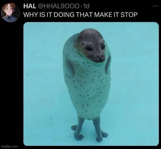 Sea doggo | made w/ Imgflip meme maker