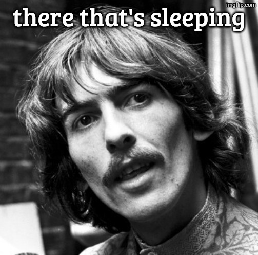 Hi George | there that's sleeping | image tagged in hi george | made w/ Imgflip meme maker