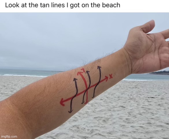 What wonderful tan lines | image tagged in tan lines,beach | made w/ Imgflip meme maker