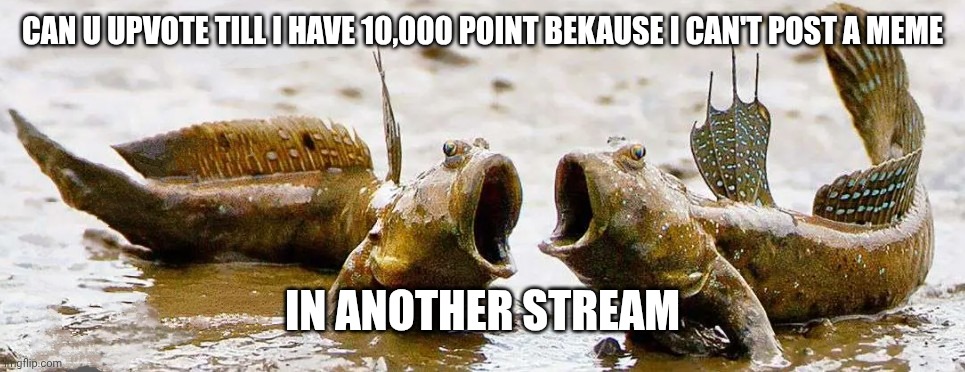 Mudskipper | Can u upvote till I have 10,000 point bekause I can't post a meme; In another stream | image tagged in mudskipper | made w/ Imgflip meme maker