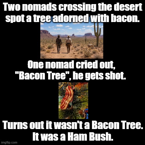 Ham Bush | Two nomads crossing the desert spot a tree adorned with bacon. One nomad cried out, "Bacon Tree", he gets shot. Turns out it wasn't a Bacon Tree.
It was a Ham Bush. | image tagged in black square,bacon,pun,desert | made w/ Imgflip meme maker