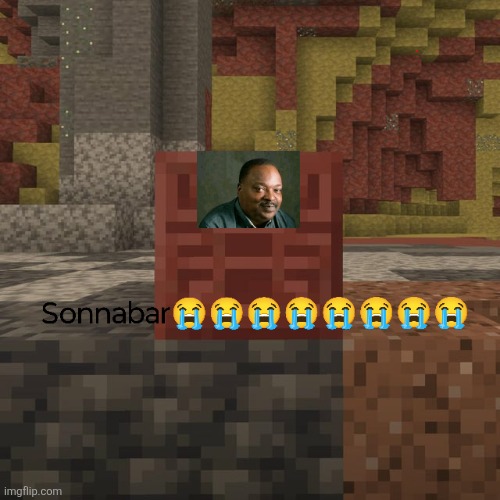 New template/reaction meme | image tagged in sonnabar meme | made w/ Imgflip meme maker