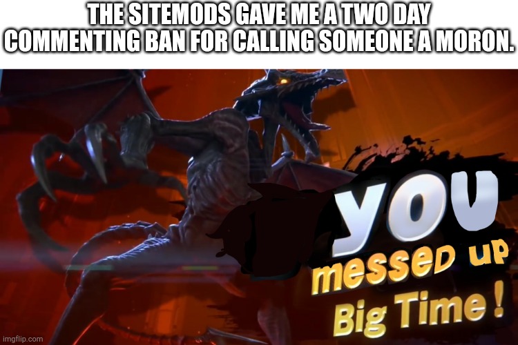 If they have nothing better to do than harass me, then they need to touch grass. | The sitemods gave me a two day commenting ban for calling someone a moron. | image tagged in ridley you messed up big time,sitemods,harassment | made w/ Imgflip meme maker