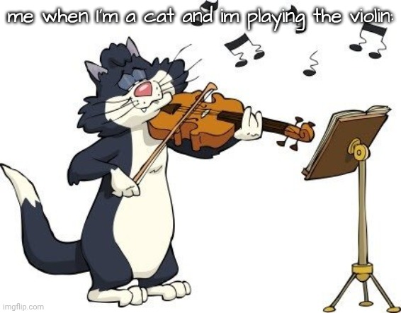aaaaaaaaaaaaaaaaaaaaaaaaaa 15 | me when I'm a cat and im playing the violin: | image tagged in yayayaya | made w/ Imgflip meme maker