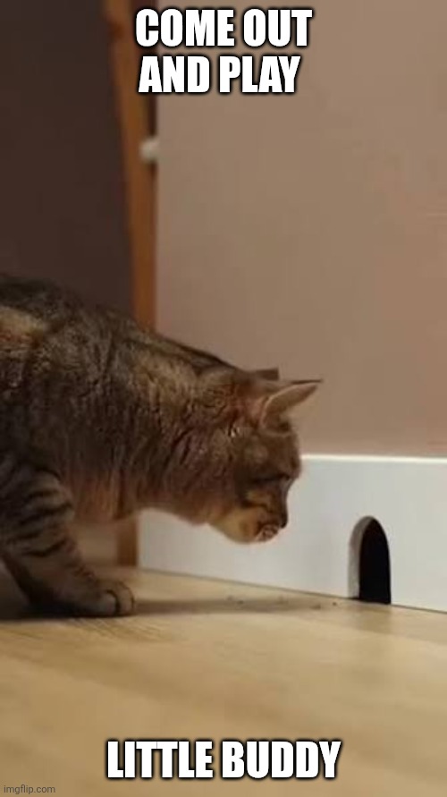 Little Buddy | Come out and play; Little Buddy | image tagged in images_6aa5ec94-fe33-4a jpg,funny memes | made w/ Imgflip meme maker